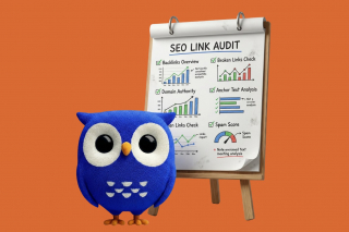 SEO Link Audit