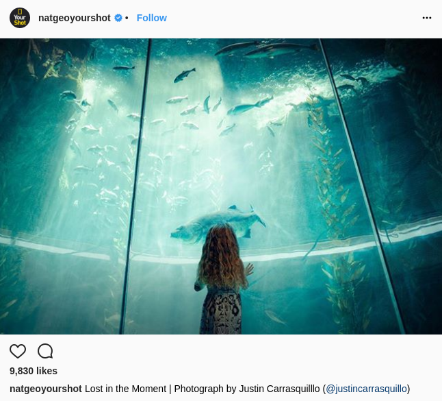 microsoft and national geographic social media campaign