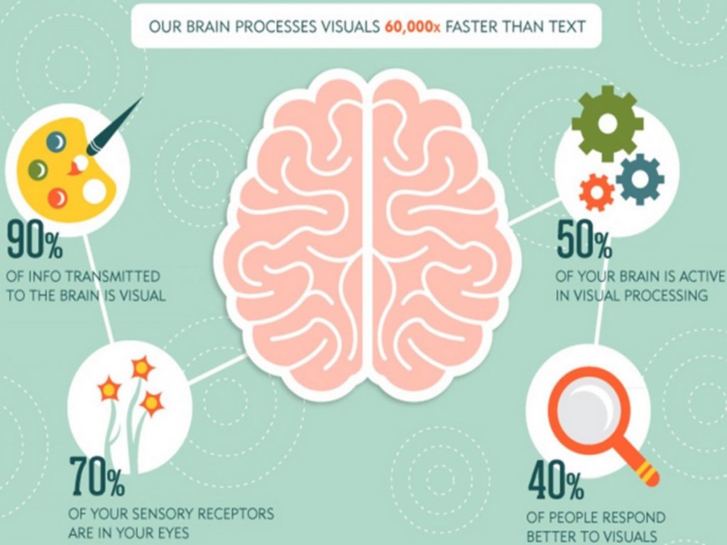 Infographics explaining how the human brain processes visual information