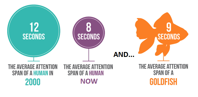 The evolution of human attention span compared to that of a gold fish