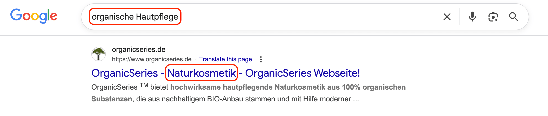 SEO translation vs SEO localization example
