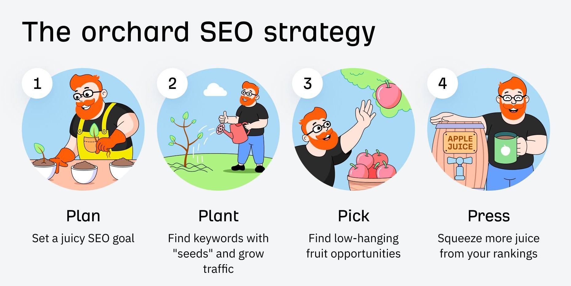 A SEO strategy process explained in simple terms as if growing an orchard