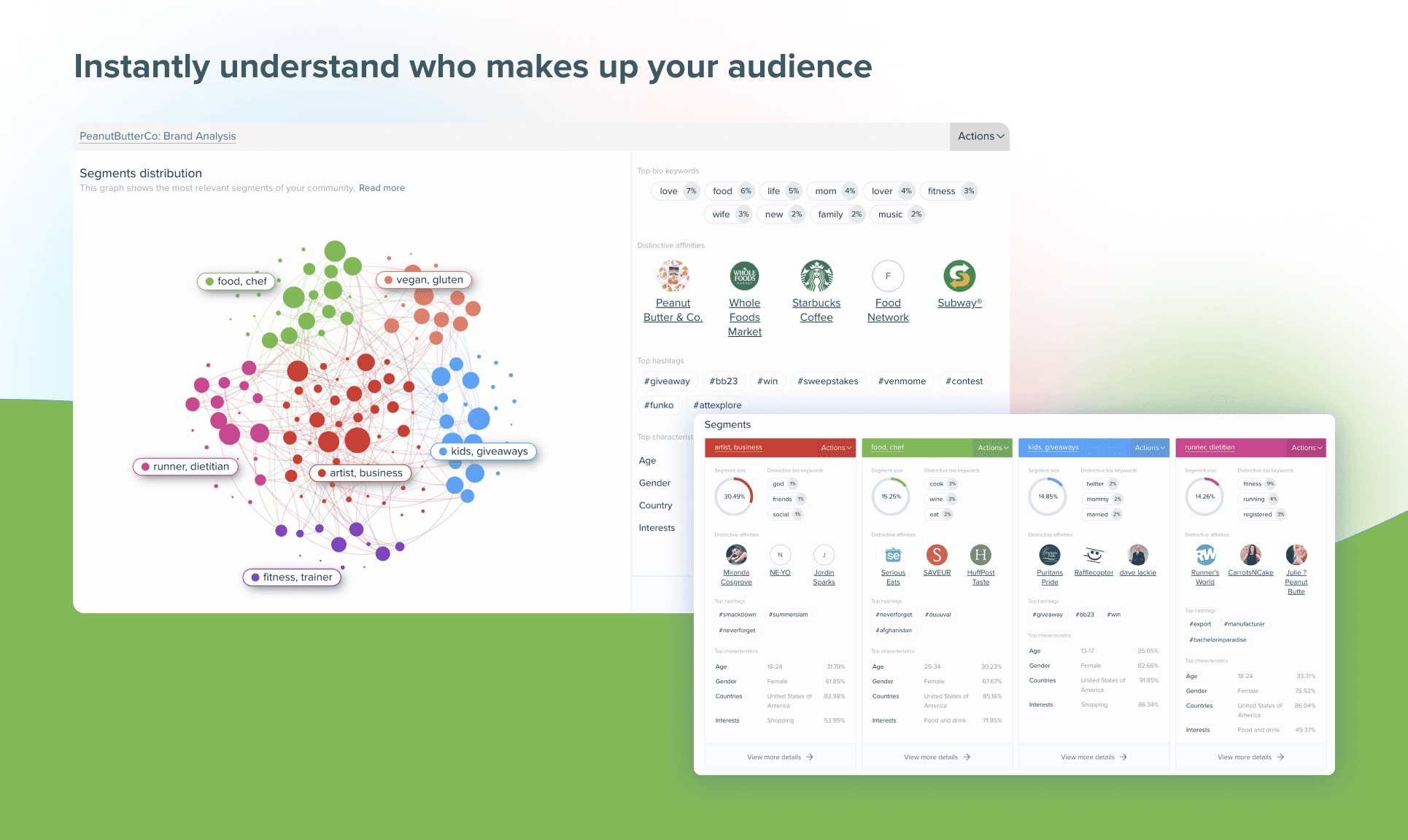 Semrush audience analysis for digital media planning