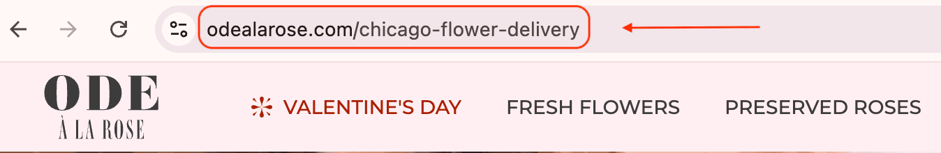 URL example local SEO landing page multilocation