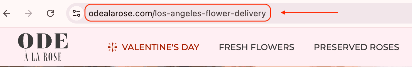 URL example local SEO page multilocation