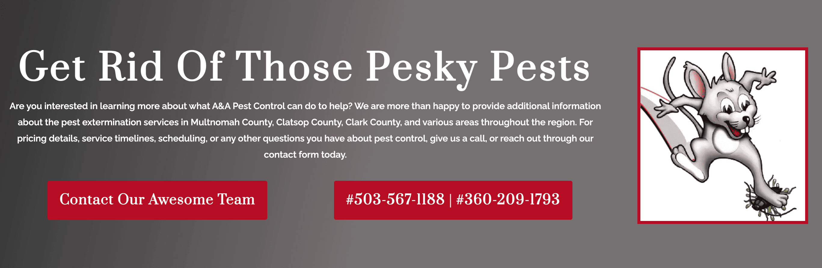 good example CTA local landing page