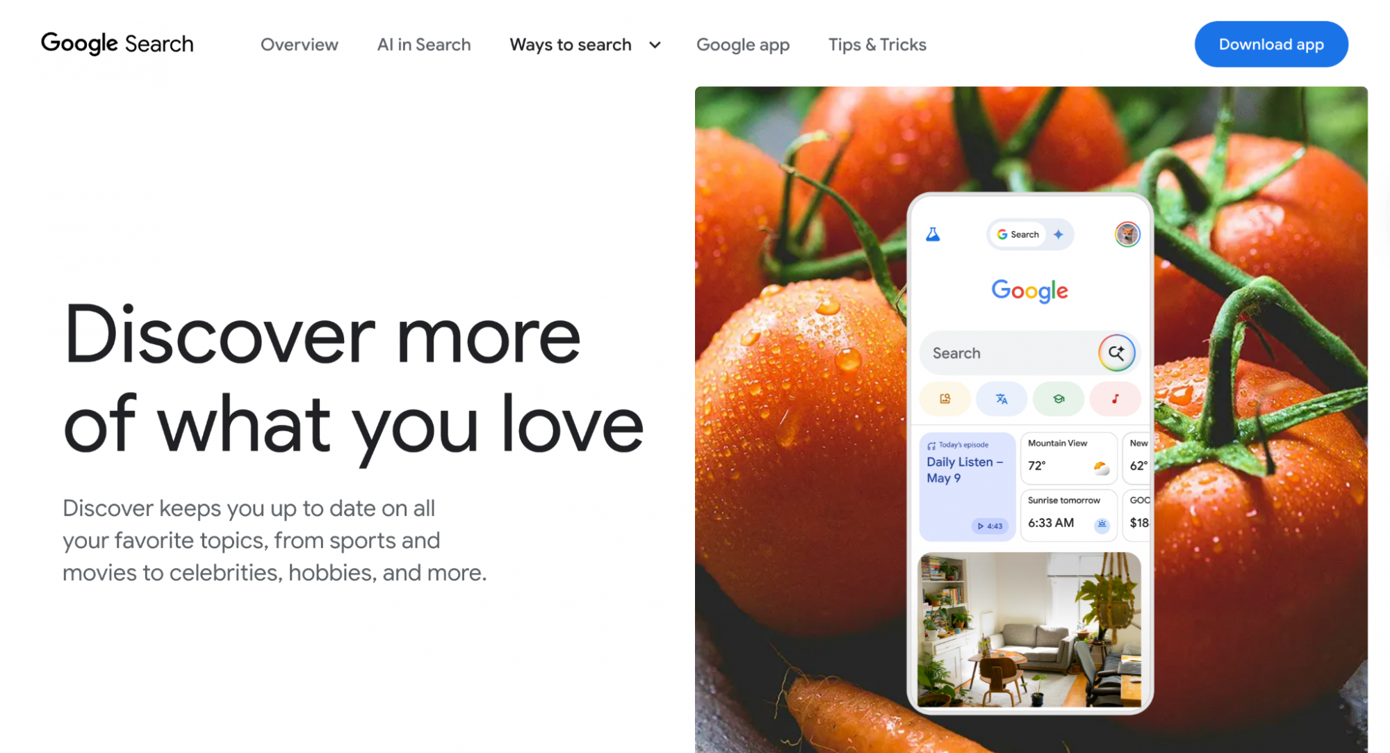 Google Discover news SEO