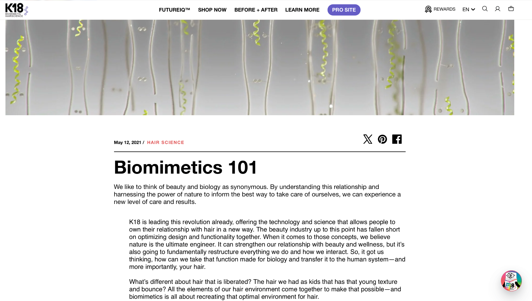 Biomimetics 101