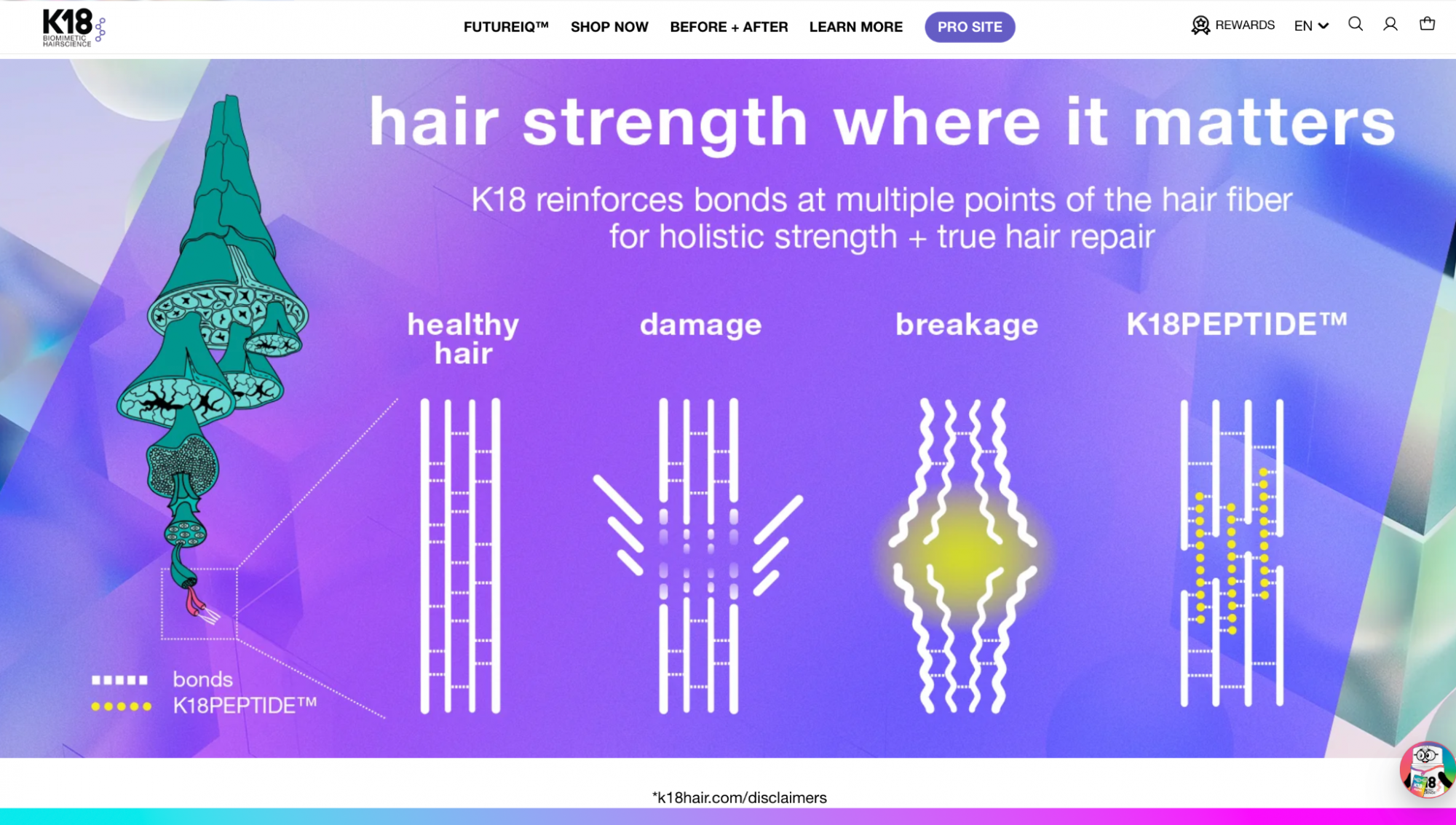 K18 infographics