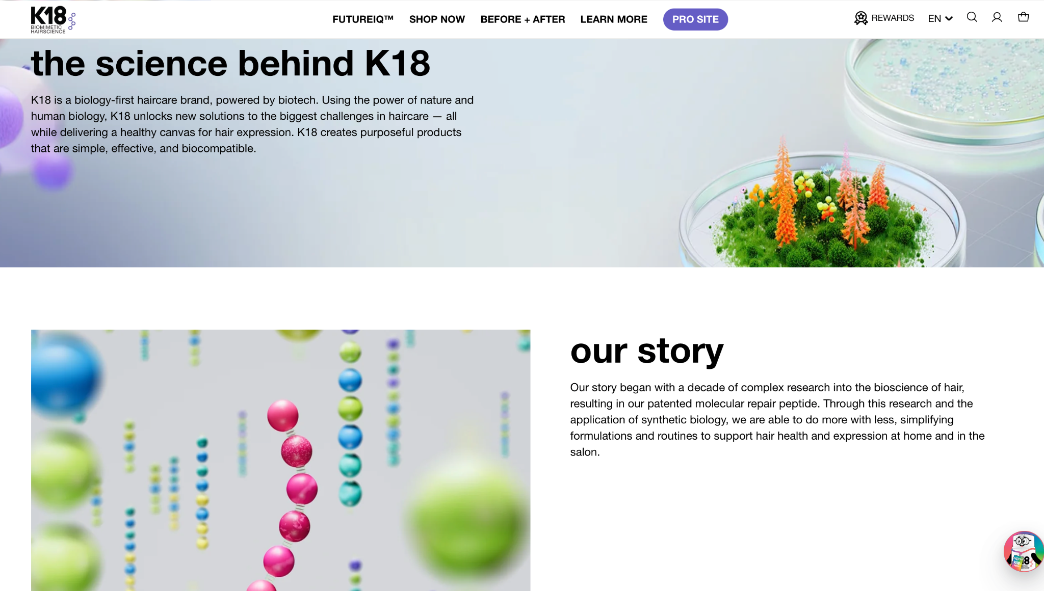 k18 website