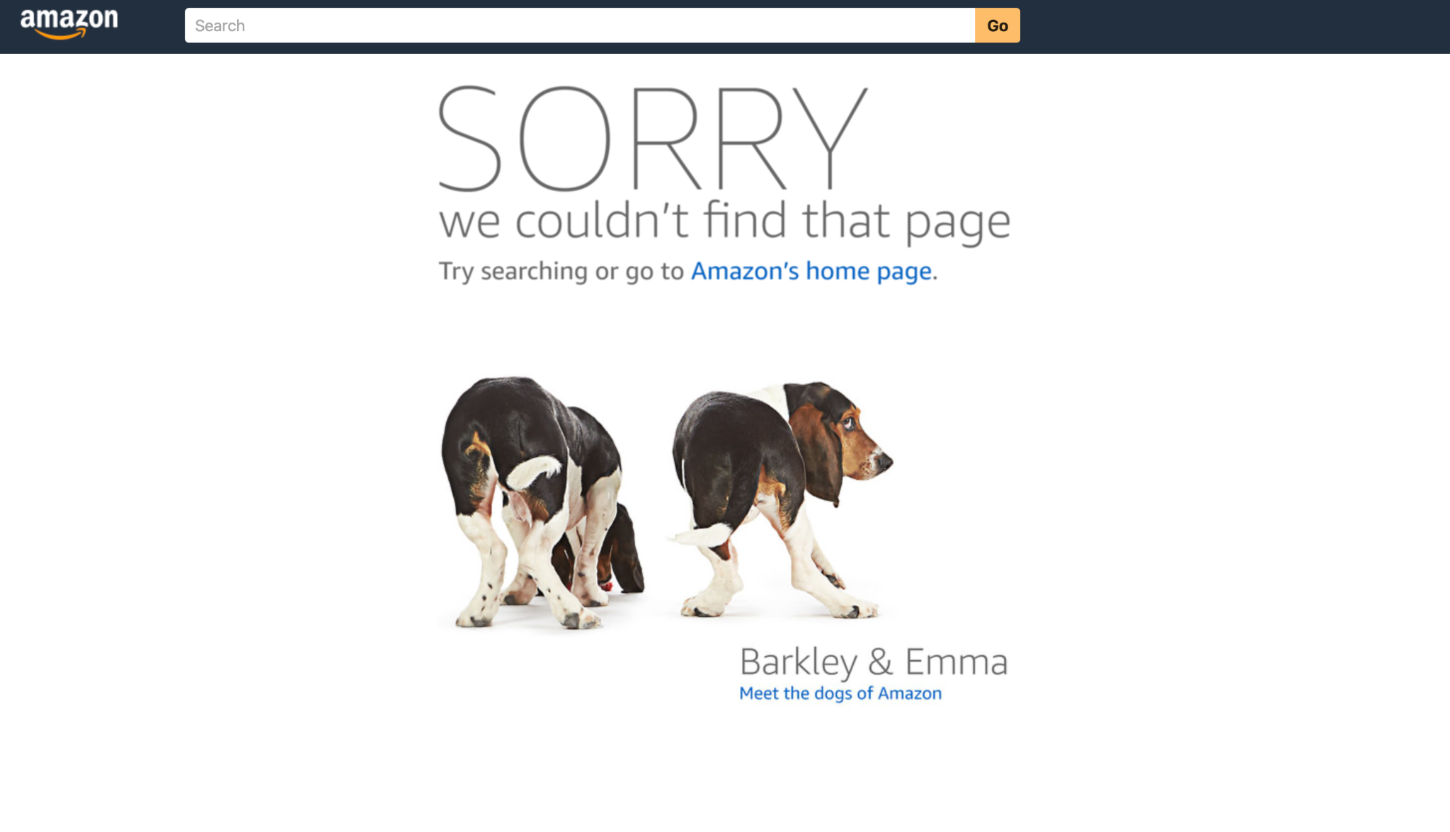 Amazon 404
